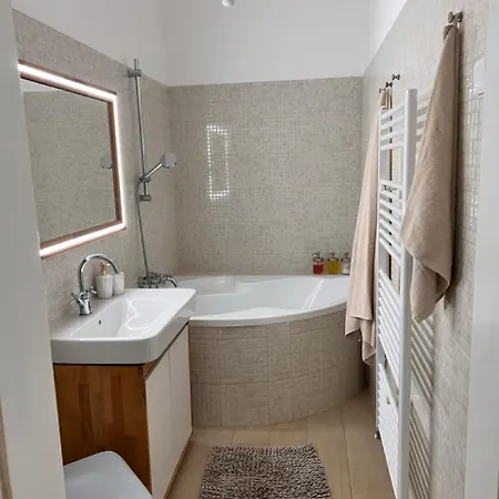 Stylish Flat In Centre Pressburg